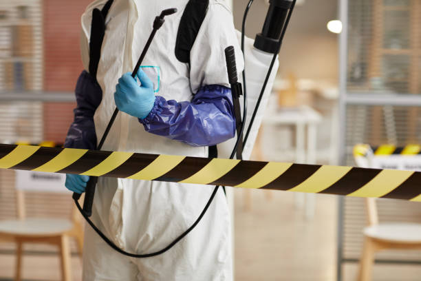 Professional Sewage Cleanup technician working in Houston, PA